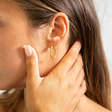 Load image into Gallery viewer, 18K Gold PVD Stainless Steel Oval Huggie Earrings