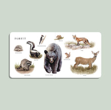 Load image into Gallery viewer, Our Big Book of Animals (Board Book)