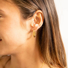 Load image into Gallery viewer, 18K Gold PVD Stainless Steel Oval Huggie Earrings