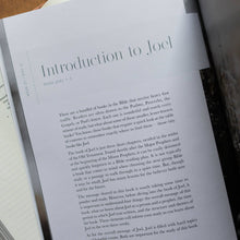 Load image into Gallery viewer, Restored | A Study on the Book of Joel