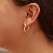 Load image into Gallery viewer, 18K Gold PVD Stainless Steel Oval Huggie Earrings