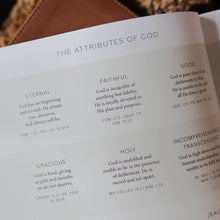 Load image into Gallery viewer, Esther | Seeing God When He Is Silent