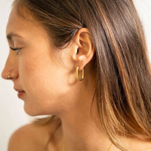 Load image into Gallery viewer, 18K Gold PVD Stainless Steel Oval Huggie Earrings