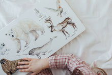 Load image into Gallery viewer, Our Big Book of Animals (Board Book)