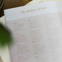 Load image into Gallery viewer, Delight Bible Study
